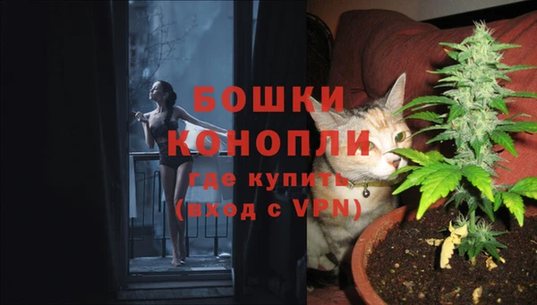 спиды Володарск