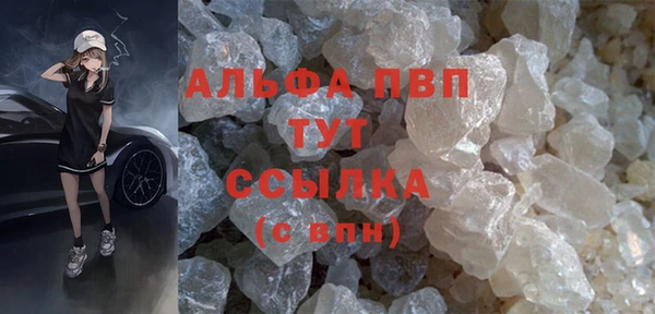 гидра Бородино