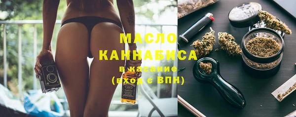 гидра Бородино