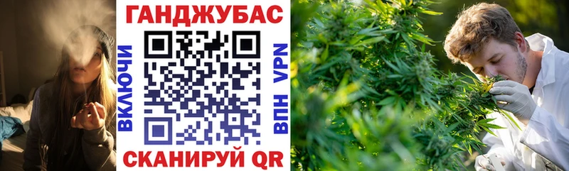 купить   Жуковка  Каннабис сатива 